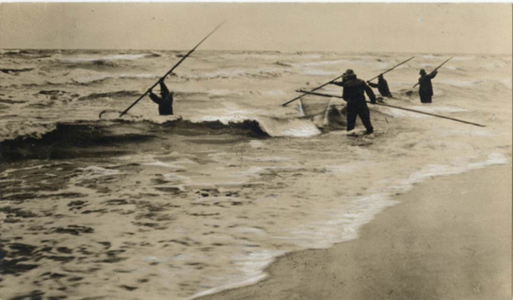 Собираем янтарь на побережье Балтийского моря после шторма