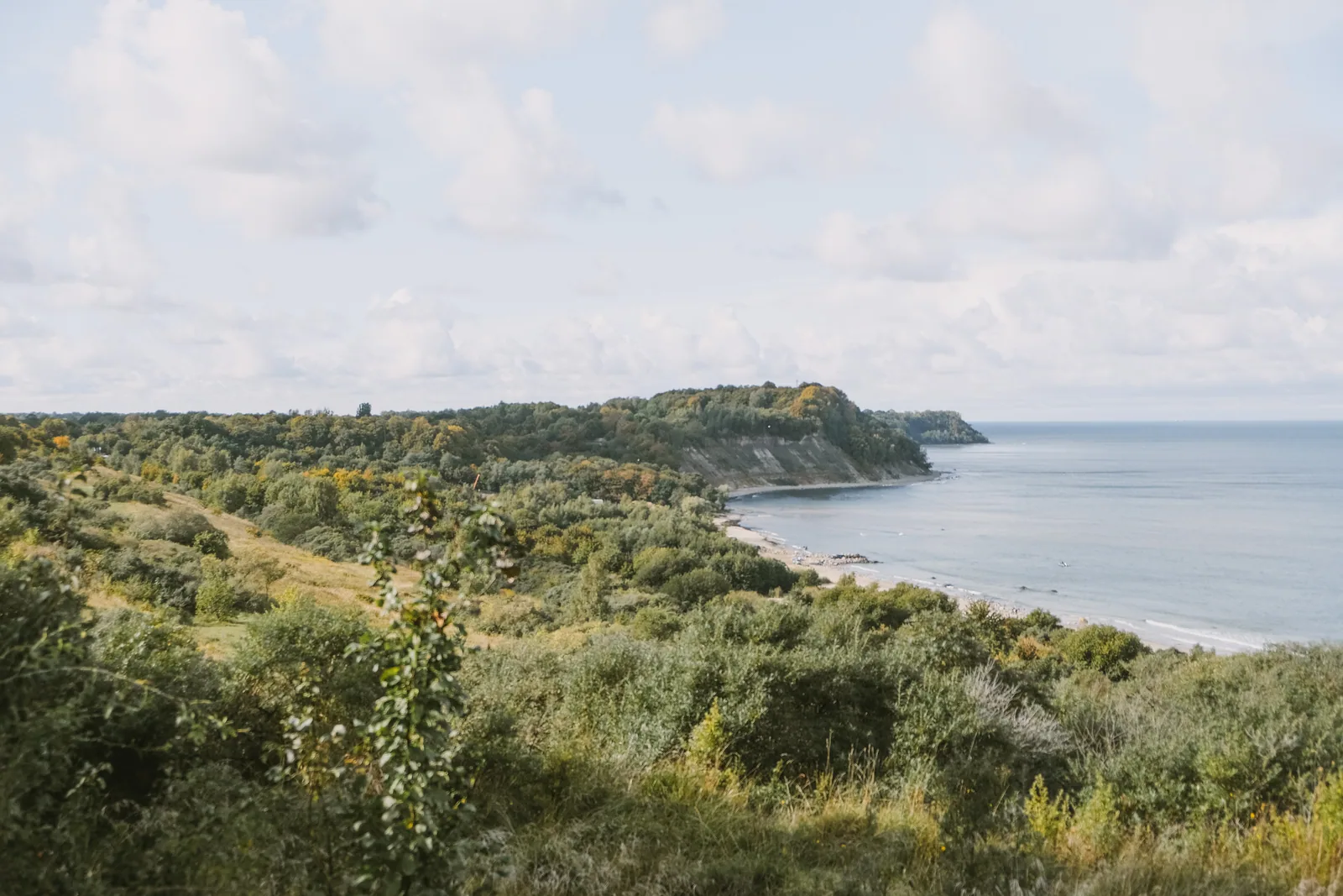 Зелёный берег уходит мысом в море, у воды тонкая светлая полоса песка: береговая линия, увиденная сверху, уже почти рисунок для иголки. Фото: Настя Шафранова