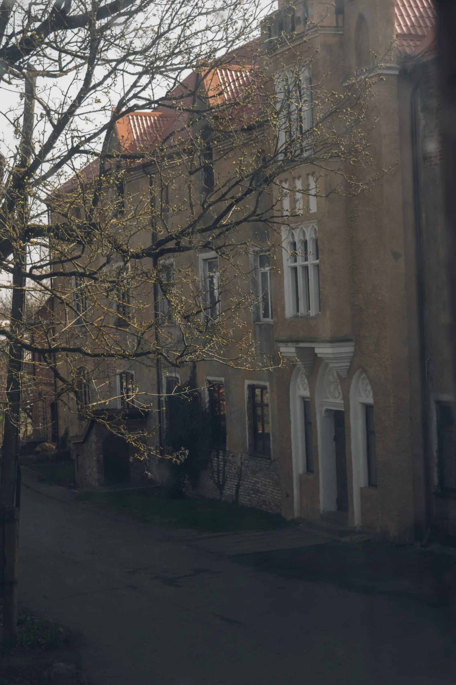Окна с обычными рамами и дерево под стеной — по этим мелочам и видно, что замок остался домом. Кадр из моего архива по замкам области