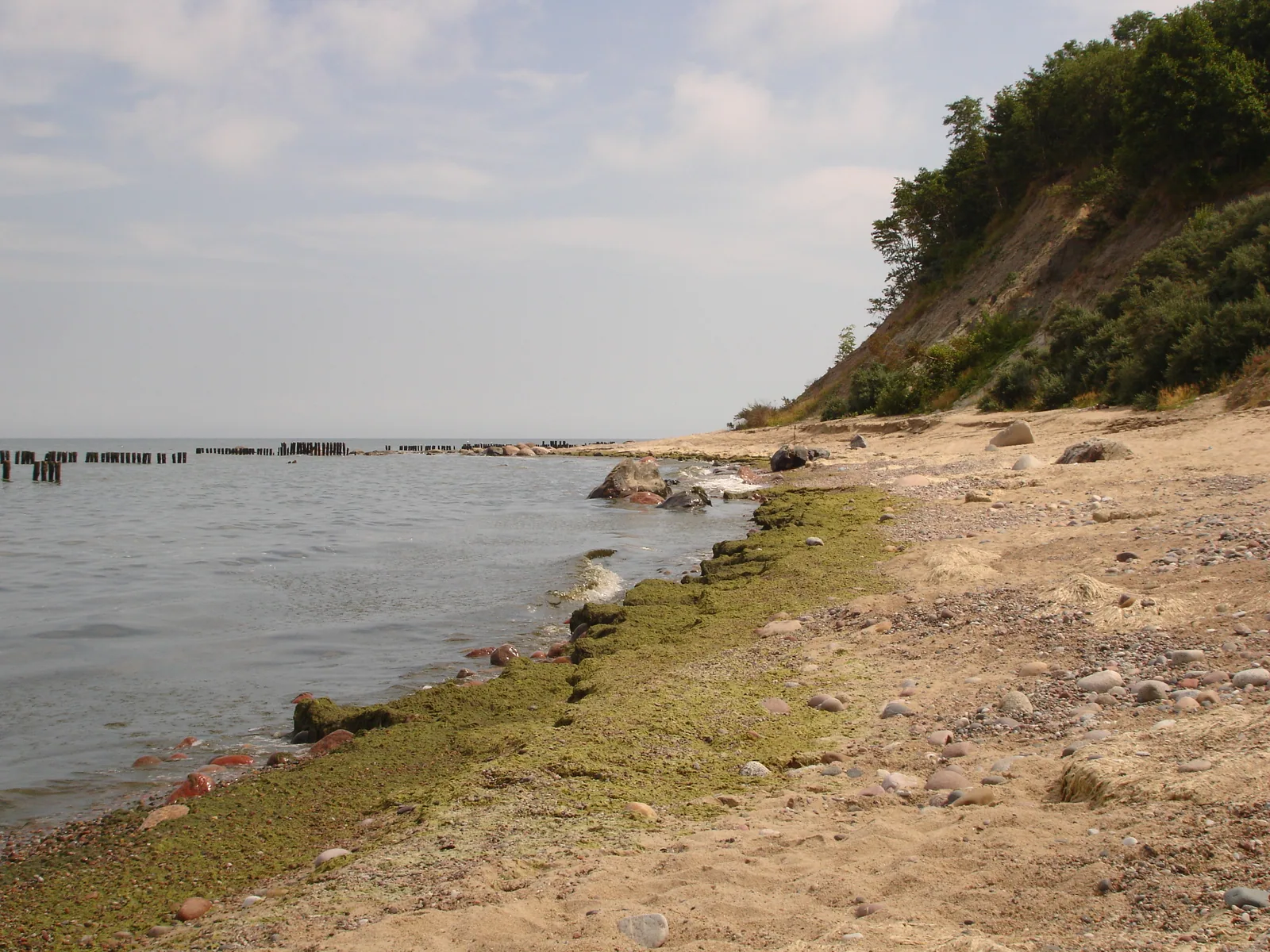 Берег под обрывом, у кромки зелёная полоса водорослей на камнях: такой выброс и есть материал для этой практики. Фото: Настя Шафранова