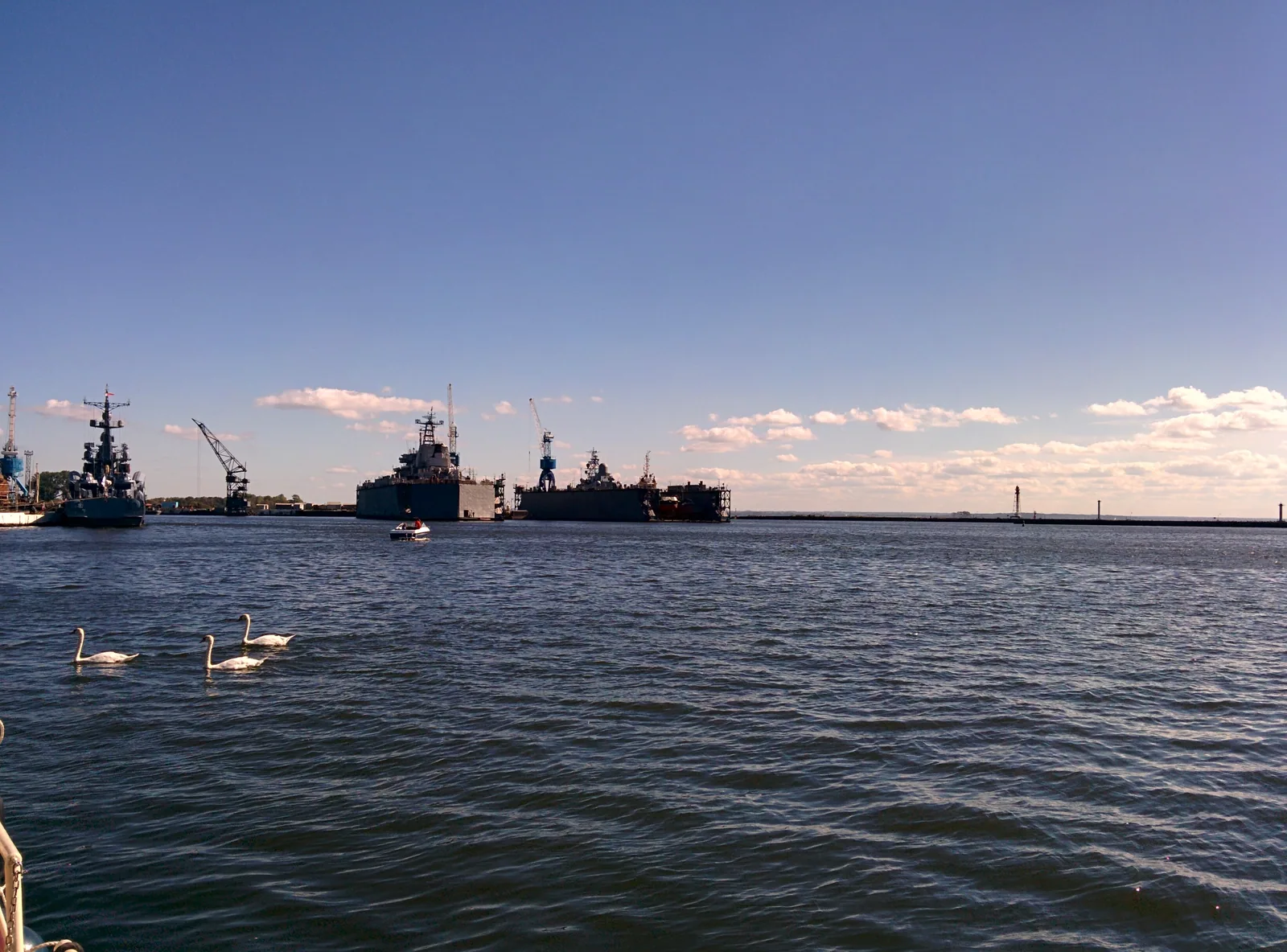 Порт в ясный день, суда у причала и лебеди на воде: морская рыба приходит в банку отсюда