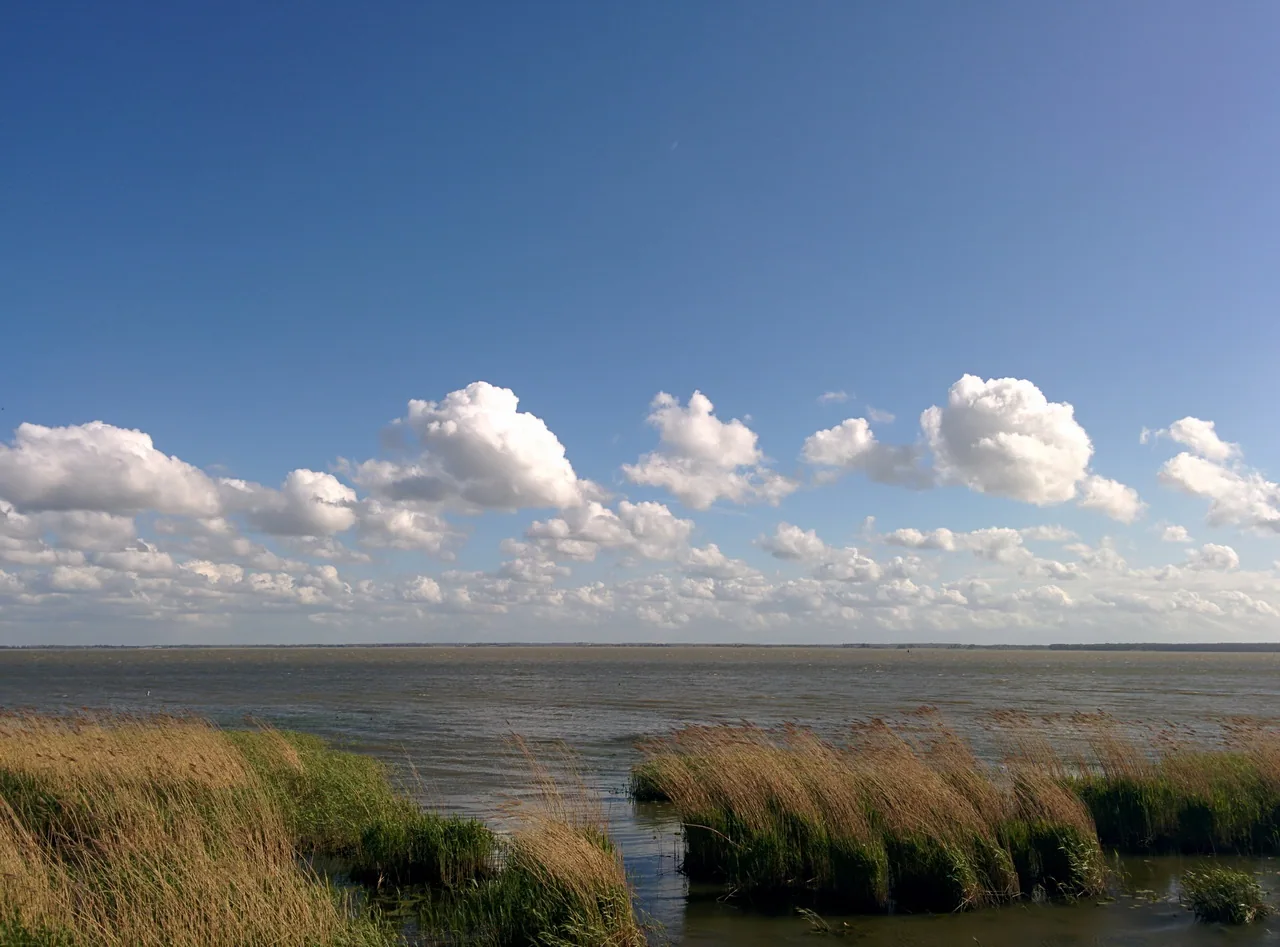 Сюда приезжают за тишиной: после моря вода без прибоя поначалу кажется непривычной